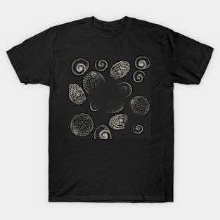 Shells T-Shirt